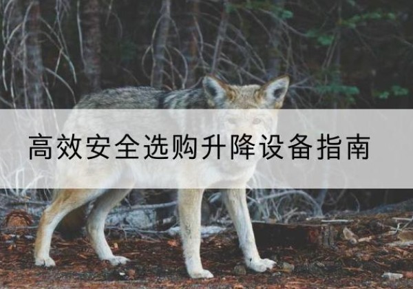 金川升降货梯厂家推荐-*安全选购升降设备指南