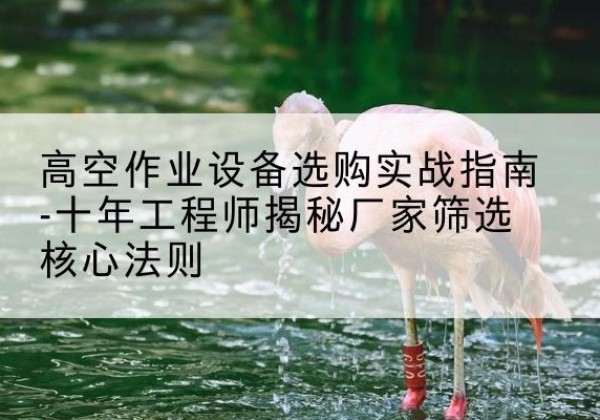 金川剪叉式升降机厂家-高空作业设备选购实战指南-十年工程师揭秘厂家筛选核心法则